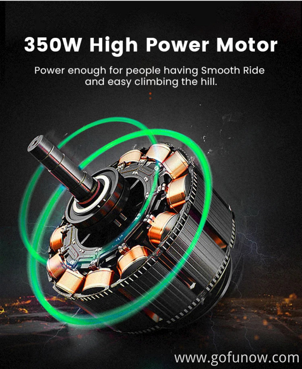 Gofunow Electric Bikes for Rental(7)